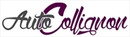 Logo AutoCollignon